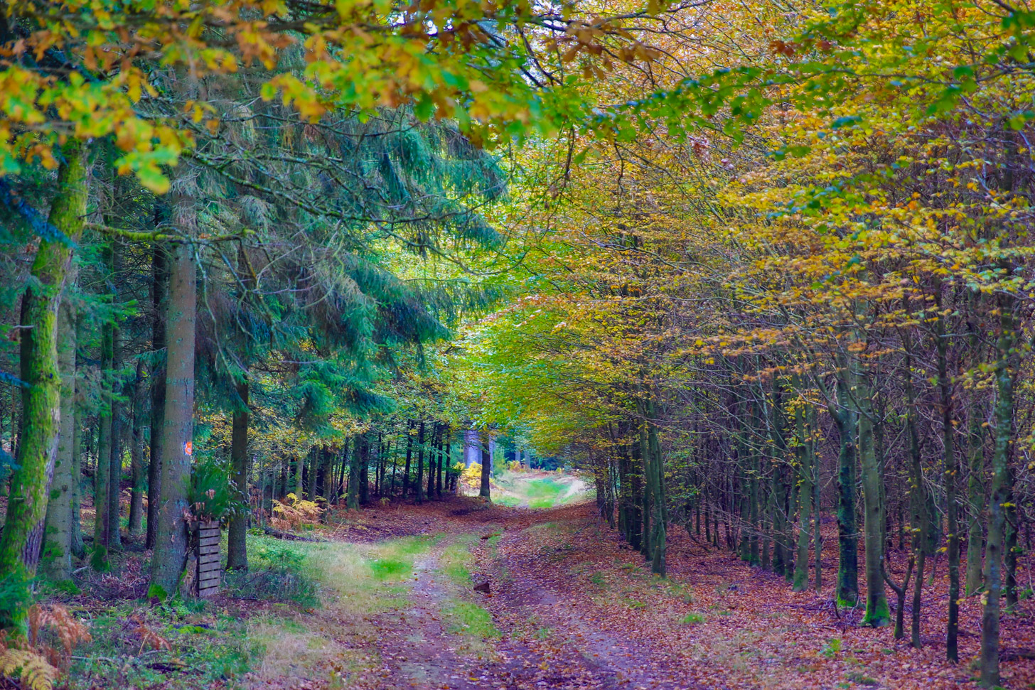 5 dingen die je moet weten over de herfstvakantie