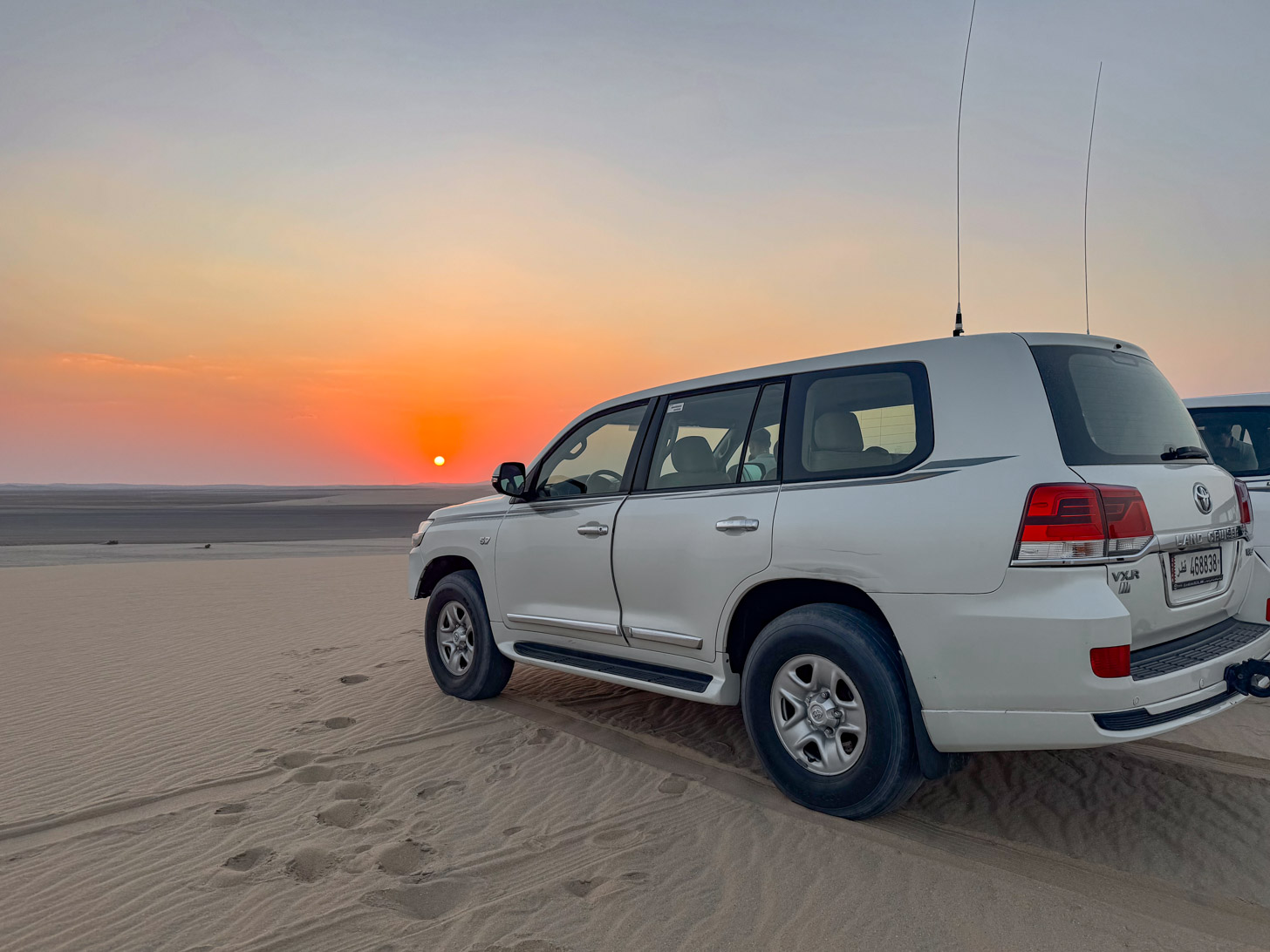 Boek jouw woestijnsafari!